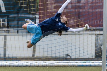 Bild 115 - wBJ Hamburger SV - FC Suederelbe : Ergebnis: 9:0